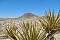 Joshua Tree, CA: Sep 2014