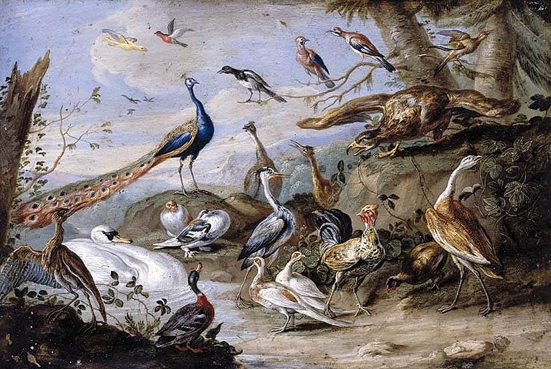 File:Jan van Kessel (I) - Birds on a Riverbank - WGA12131.jpg