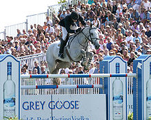 Dutch Warmblood mare show jumping at the Grand Prix level Jkassel IMG 4581 923006 hc.jpg