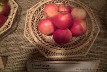 Josefiner Äpple.jpg