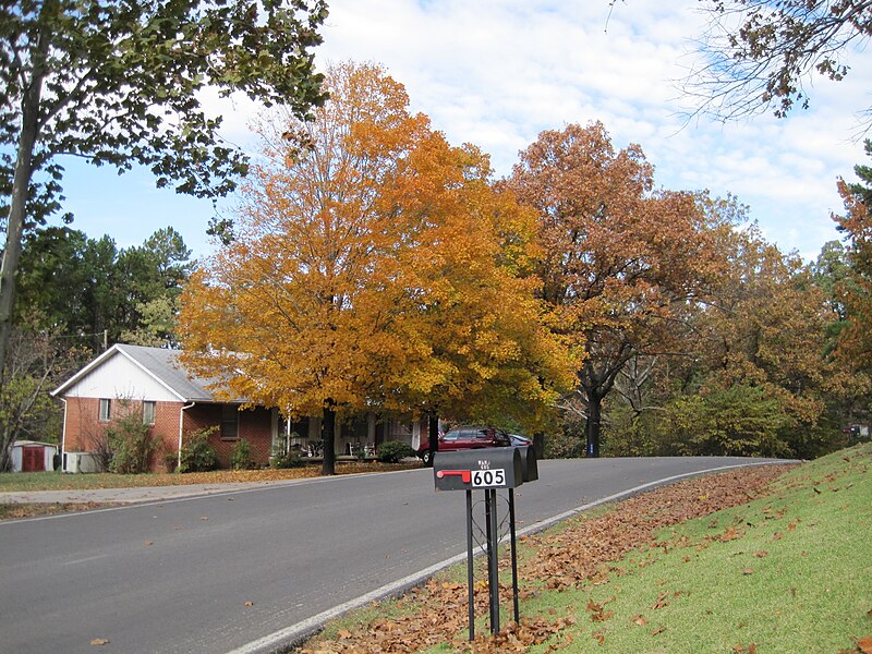 File:Josephine street.JPG