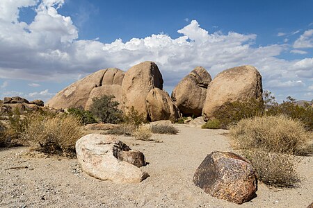 Joshua Tree National Park, California, USA