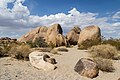 Joshua Tree National Park (California, USA) -- 2012 -- 5689.jpg