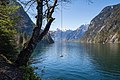 * Nomination Blick auf den Königssee im Nationalpark Berchtesgaden, aus Richtung der Rabenwand. --Sebastian Schütte 11:12, 26 June 2019 (UTC) * Promotion Good quality. --GT1976 11:30, 26 June 2019 (UTC)