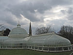 730 Great Western Road; Botanic Gardens, Kibble Palace