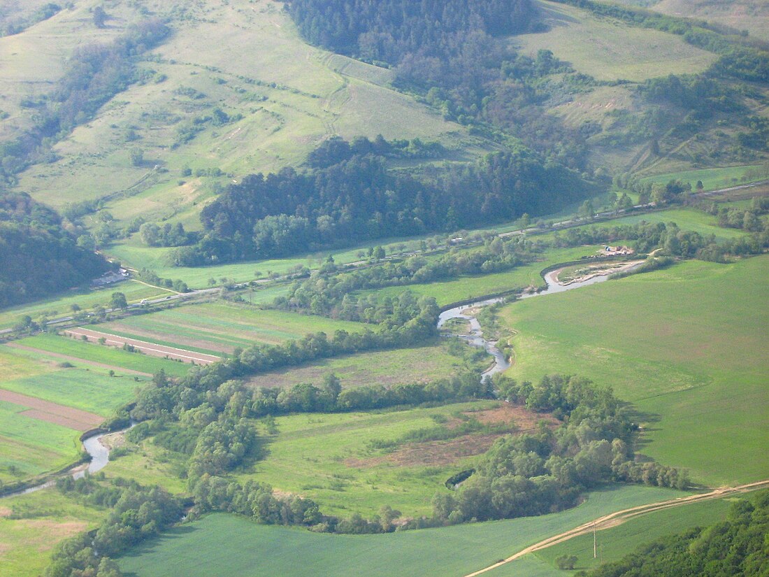 Sângeorgiu de Pădure