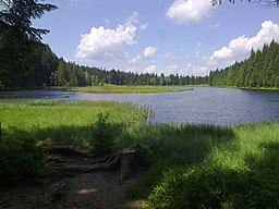 Kleiner Arbersee in Lohberg