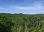 Knobs State Forest