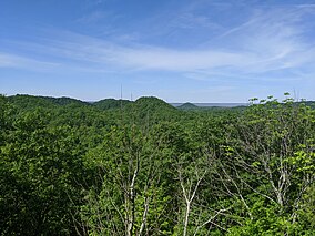 Knobs State Forest.jpg