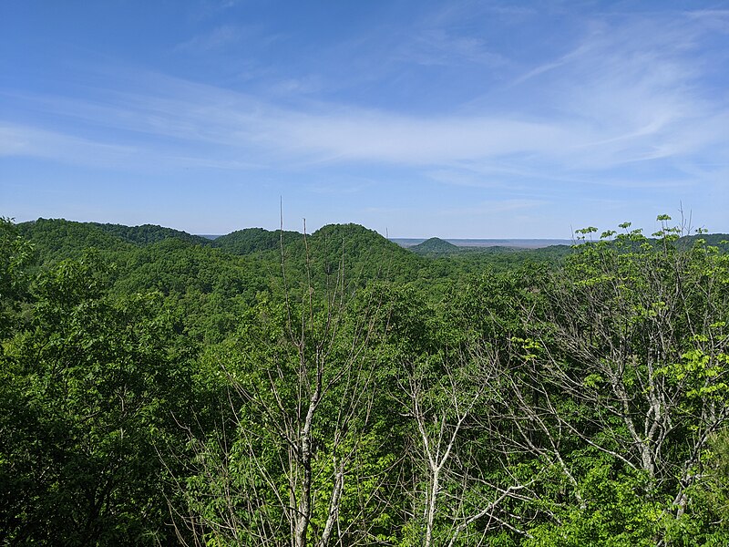 File:Knobs State Forest.jpg