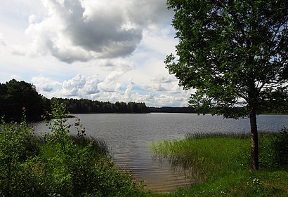 Kuidas ühistranspordiga sihtpunkti Kooraste jõuda - kohast