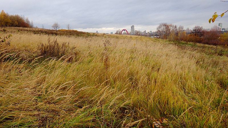 File:Krylatskoye District, Moscow, Russia - panoramio (34).jpg