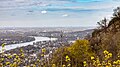 * Nomination View of Bonn (and in the background Cologne) from the viewing platform at Drachenfels, Königswinter, North Rhine-Westphalia, Germany --XRay 04:03, 12 May 2024 (UTC) * Promotion  Support Good quality. --Johann Jaritz 05:39, 12 May 2024 (UTC)