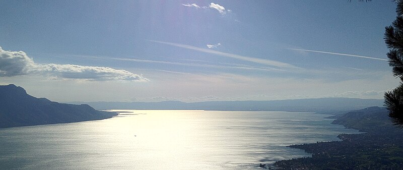 File:Lac Léman entre Glion et Caux.JPG