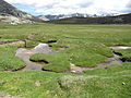 Schmelzwasserzuflüsse mäandern zum See.