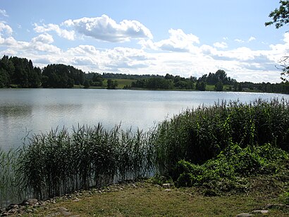 Kuidas ühistranspordiga sihtpunkti Juusa järv jõuda - kohast