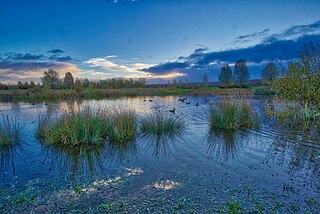 Glan Llyn Human settlement in Wales