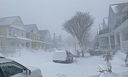 Laurel Street, Buffalo