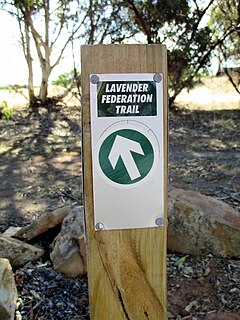 Lavender Federation Trail