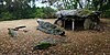 El dolmen llamado "Les Tablettes de Cournon" cerca de La Gacilly - Morbihan - Agosto de 2015.jpg