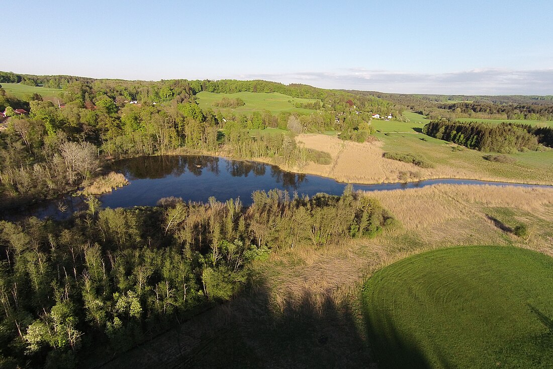 Moore und Wälder der Endmoräne bei Starnberg