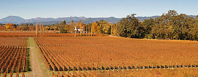 Domaine Chandon California - Wikipedia