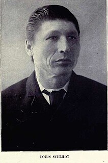Louis Schmidt Metis politician