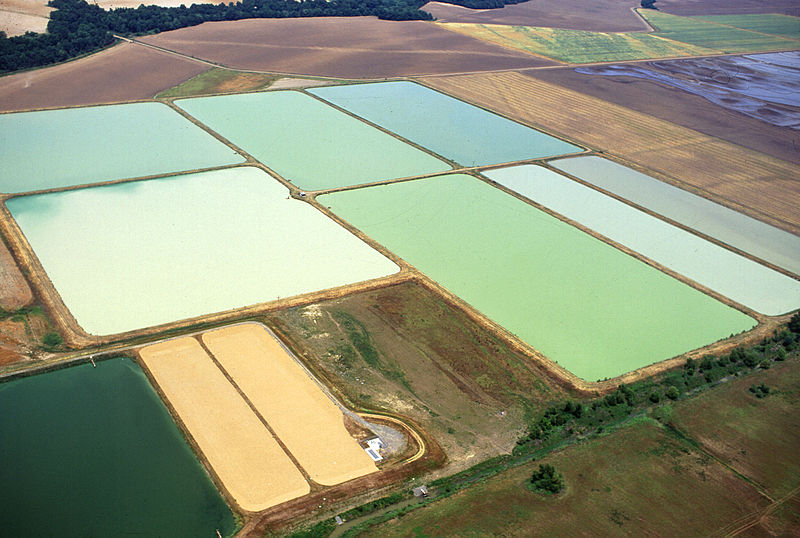 File:Louisiana Catfish Ponds k4724-7.jpg