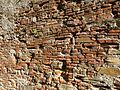 Medieval wall detail. Lucca, Tuscany, Italy.