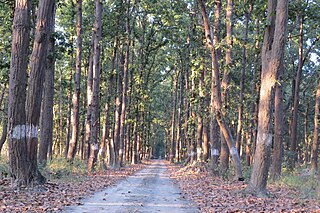 <span class="mw-page-title-main">Pilibhit Tiger Reserve</span> Tiger reserve Area in Uttar Pradesh, India