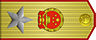 Marshal rank insignia (PRC).jpg