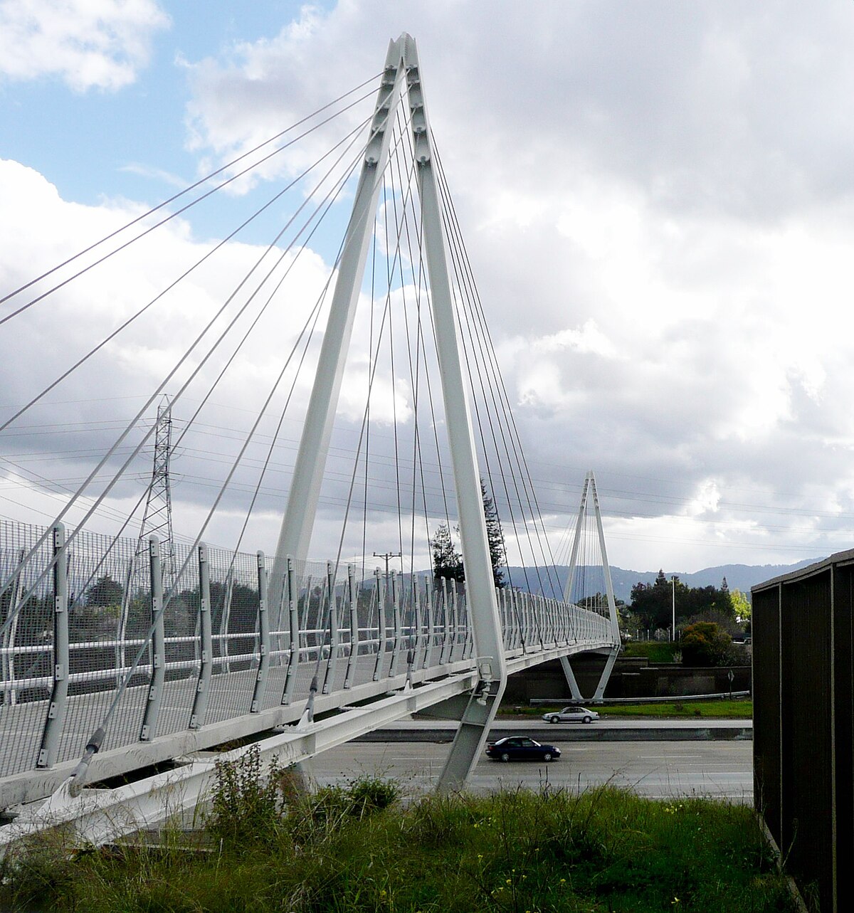 Image result for cable suspended pedestrian bridge