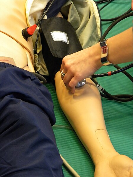 File:Measurement of blood pressue in arm.jpg