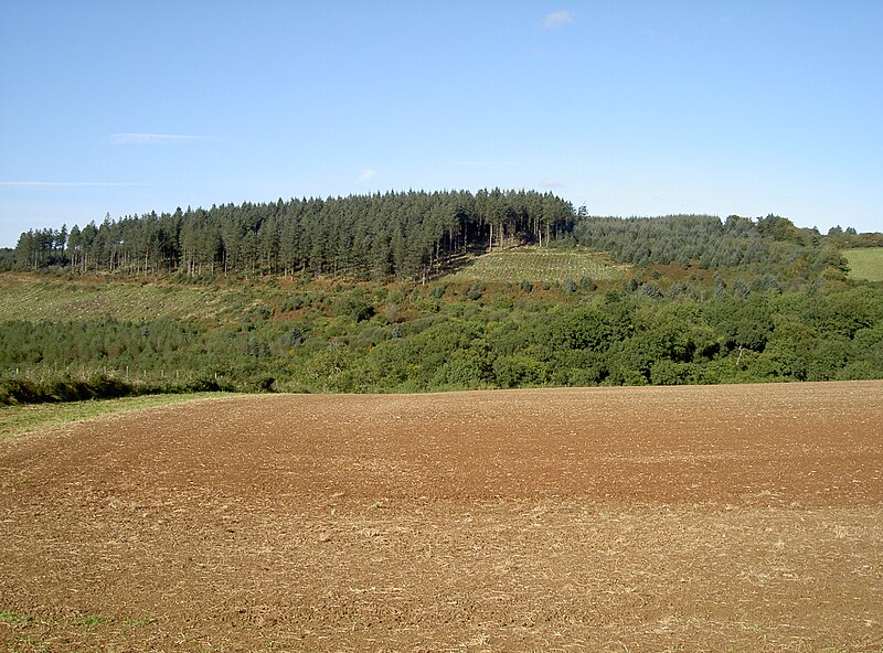 File:Mendip woodland - geograph.org.uk - 5130560.jpg