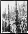 Milano - dettagli del Duomo LCCN91783728.tif