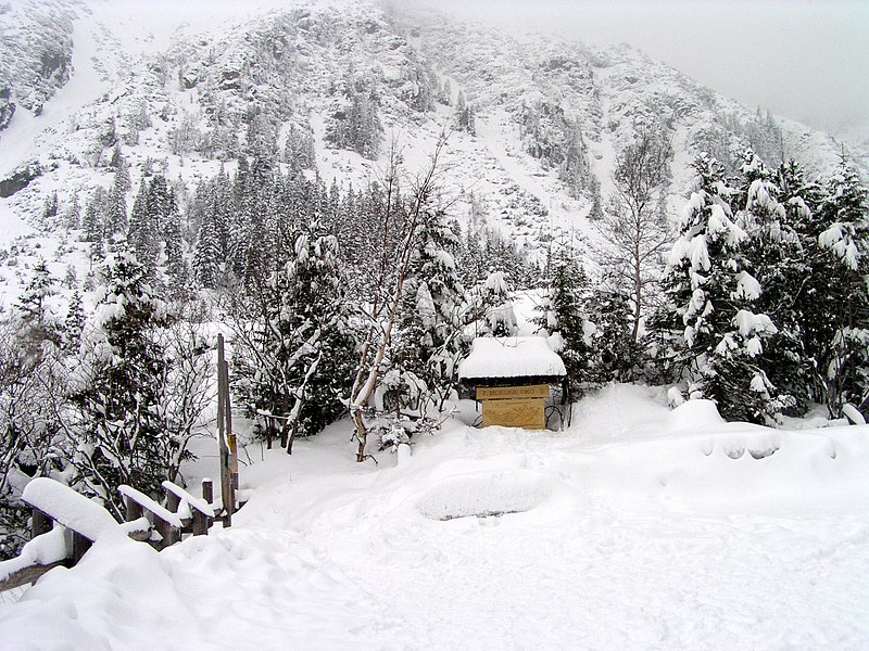 File:Morskie Oko Poland Winter.jpg