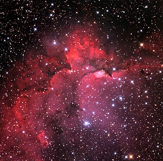 Cepheus OB1