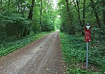 NSG Birken Eichenwald near Sangenstedt June 2019 (2) .jpg