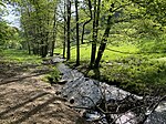 Naturschutzgebiet Murmelbachtal