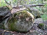 Čeština: Zbytky bunkru (Model 37) u informační tabule č. 7 na naučné stezce Totalita rozděluje u města Borovany v okrese České Budějovice. English: Remains of a light pillbox at an information board of the educational trail Totalita rozděluje near the town of Borovany, České Budějovice District, Czech Republic.