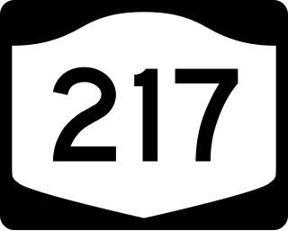 <span class="mw-page-title-main">New York State Route 217</span> State highway in Columbia County, New York, US