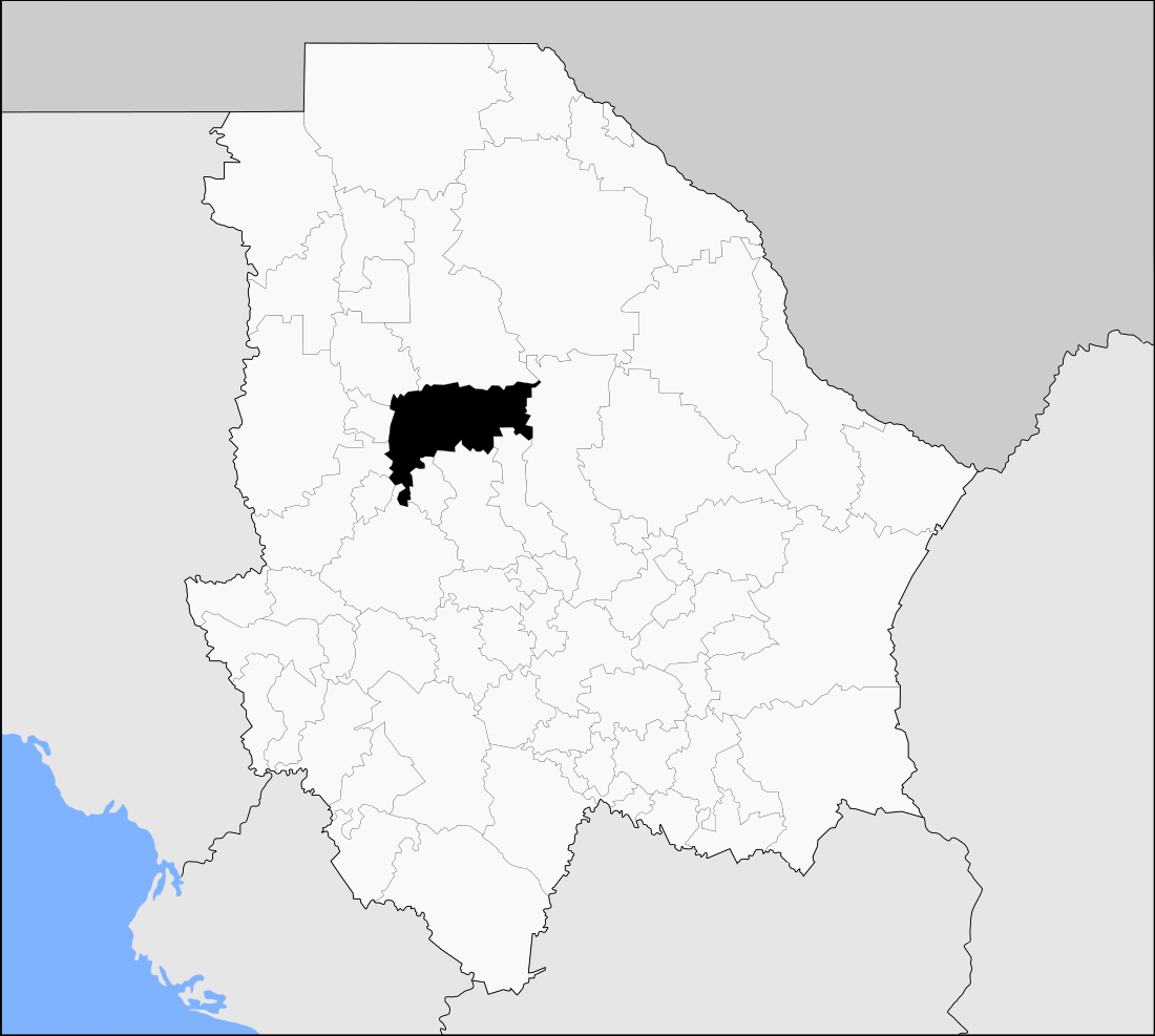 Namiquipa Municipality