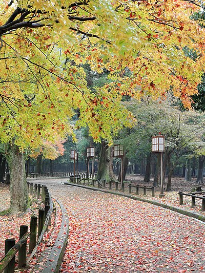 Jalur pejalan di Taman Nara, sebuah ruang publik yang terletak di kota Nara, di kaki Gunung Wakakusa.