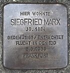 Nauheim Stolperstein Waldstrasse 10 Siegfried Marx.jpg