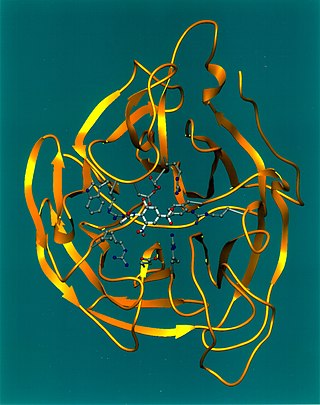 <span class="mw-page-title-main">Neuraminidase</span> Glycoside hydrolase enzymes that cleave the glycosidic linkages of neuraminic acids