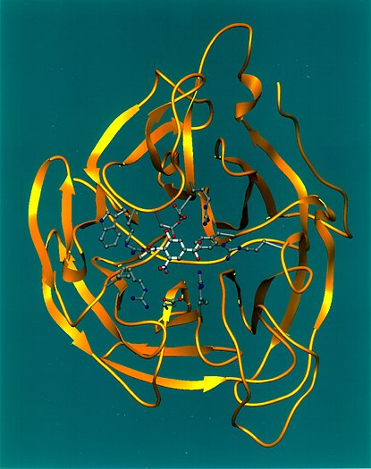 The N in H5N1 stands for "Neuraminidase", the protein depicted in this ribbon diagram