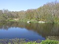 Vignette pour Norman Bird Sanctuary