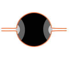 O-ring mounting for an ultra-high vacuum application. Pressure distribution within the cross-section of the O-ring. The orange lines are hard surfaces, which apply high pressure. The fluid in the seams has lower pressure. The soft O-ring bridges the pressure over the seams. O-ring.svg