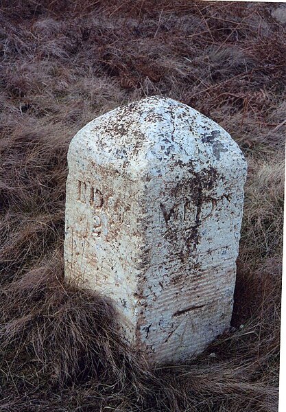 File:Old Milestone by the B6282, Coldwell Spring, Langley Common (geograph 5624092).jpg