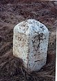 wikimedia_commons=File:Old Milestone by the B6282, Coldwell Spring, Langley Common (geograph 5624092).jpg